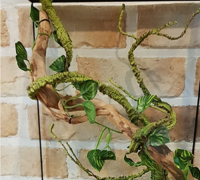 파충류 인조 소프트 넝쿨