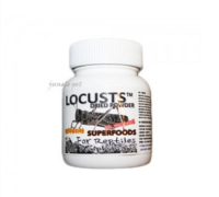 JIF 귀뚜라미 분말