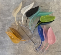 크레스티드게코 나뭇잎 백업 은신처