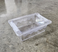 조이클린 케이지 소