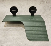 렙티주 수생거북이 육지 대