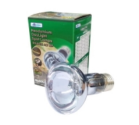 아마존 데이라이트 히팅램프 50/100w