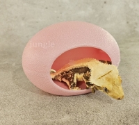 크레스티드게코 에그 은신처