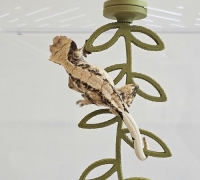 크레스티드게코 버들잎 구조물 미니,소,중,대