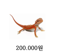 다크레드 베이비