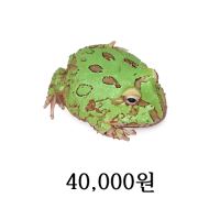 사무라이 블루 팩맨