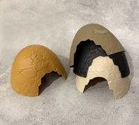 공룡 알 돔형 은신처 중