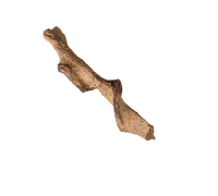 렙티주 인공 정글 넝쿨 30cm