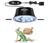 렙티주 UVB LED 디밍 조명