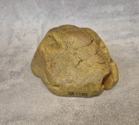 엑소테라 파충류 굴(소)