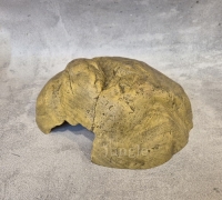 엑소테라 파충류 은신처 특대