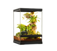 [EXO-TERRA] 파충류 사육장  : 30cm*30cm*45cm