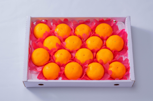 황금향 프리미엄