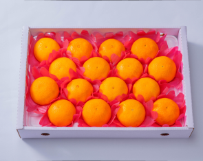 황금향 프리미엄