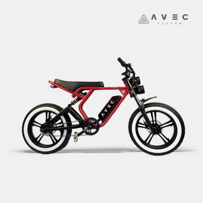 [아베크커스텀][AVEC CUSTOM] (예약판매) F01_ROMA 500W E-Bike 전기자전거