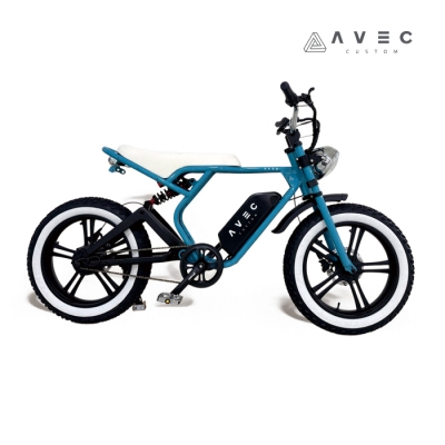 [아베크커스텀][AVEC CUSTOM] (예약판매) F01_Bruxelles_브리쉫_스머프 500W E-Bike 전기자전거