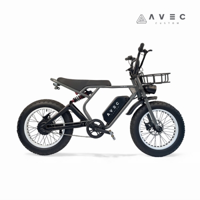 [아베크커스텀][AVEC CUSTOM] (예약판매) F01_BERLIN 500W E-Bike 전기자전거