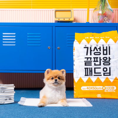 개님의패드 프리미엄 대용량 배변패드 소형 40x50cm 100매