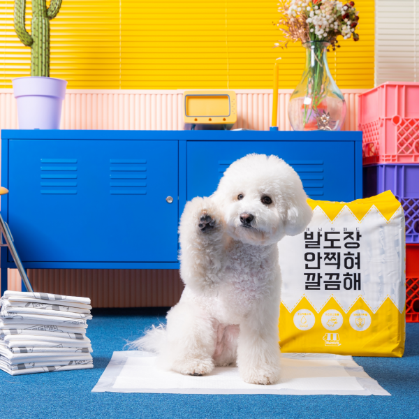 개님의패드 프리미엄 대용량 배변패드 중형 45x60cm 70매