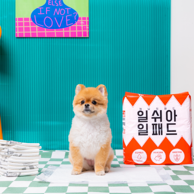 개님의패드 트라이얼팩 (소/중/대/초대형)