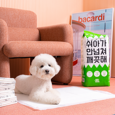 개님의패드 트라이얼팩 (소/중/대/초대형)