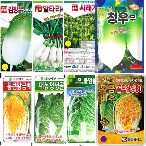 [김장채소 씨앗] 모음 18종 알타리무 배추씨앗 시래기무