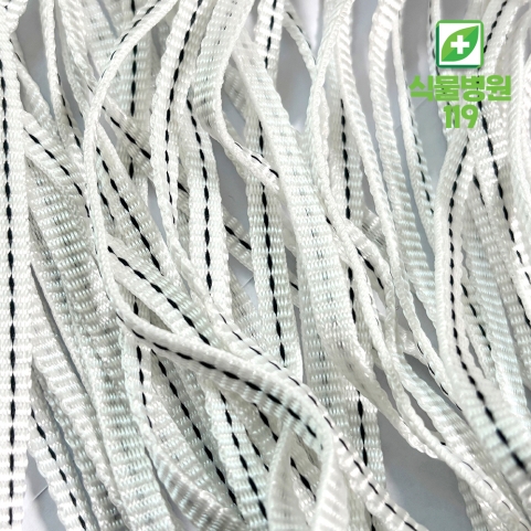 안파고 밴드만 5.5mm X 1500m 1박스 과수유인 나무 가지유인줄