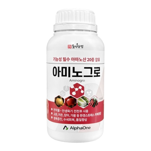 아미노그로 500ml 마늘 양파 아미노산 냉해 동해 경감 수세회복 생육증진