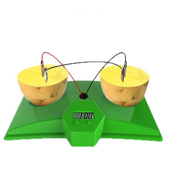 과일전지 만들기 / 과학실험