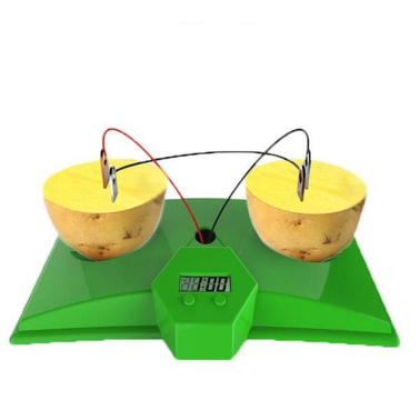 과일전지 만들기 / 과학실험