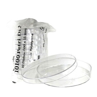 페트리 접시 10인