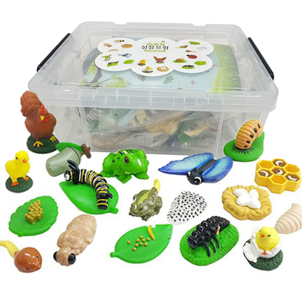 [유아용] 소프트 성장모형