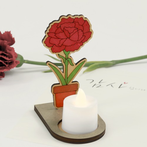 [매직북스] 카네이션 화분 팬시우드 무드등 만들기