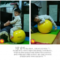 Classic 45cm 짐닉 클래식 짐볼/Made In Italy 어린이짐볼/유아짐볼/균형감각 