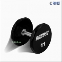 로버스트 11kg 아령 우레탄코팅 덤벨 11kg (1개) 