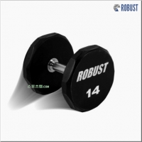 로버스트 14kg 아령 우레탄코팅 덤벨 14kg (1개) 