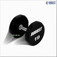 로버스트 19kg 아령 우레탄코팅 덤벨 19kg (1개) 