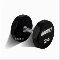 로버스트 24kg 아령 우레탄코팅 덤벨 24kg (1개) 