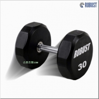 로버스트 30kg 아령 우레탄코팅 덤벨 30kg (1개) 