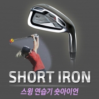 스크린골프 