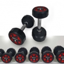 에코덤벨 ECO바벨 3kg ~ 50kg