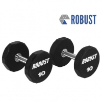 로버스트 10kg 아령 우레탄코팅 덤벨 10kg (1개)