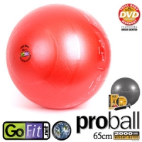 GoFit] 고핏 프로페셔널 짐볼 GF-PRO  