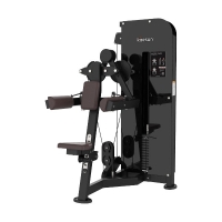 PRT604 LATERAL RAISE