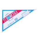 금성 30cm 유선삼각자 2본세트