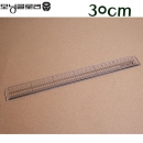 모닝글로리 컷팅 방안자 30cm