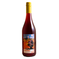 굿 인텐션스  '칸티나 로호' Good Intentions 'Cantina Rojo’ 2022