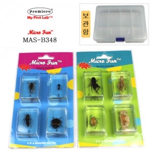 C&A Scientific MAS-B348 표본곤충벌레8종(BOX)