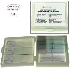 [빠른배송][새롬몰][C&A Scientific] PS-16 프레파라트(생물)