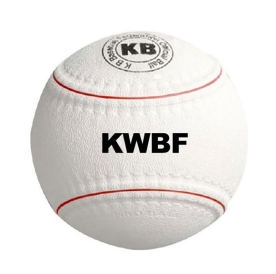 겐코볼 월드볼A 연식구 연식 야구공 KWBF